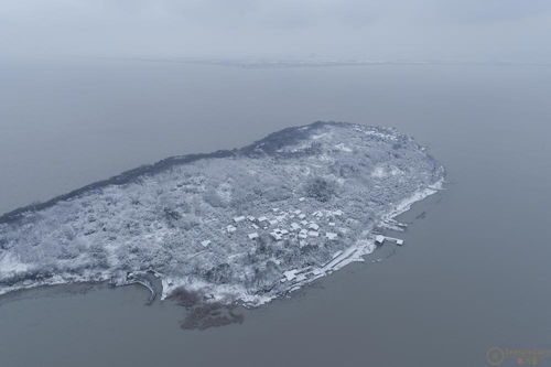 江蘇大樂(lè)之野 余山島 在線預(yù)訂與價(jià)格查詢——第六感精品別墅與文化藝術(shù)咨詢指南